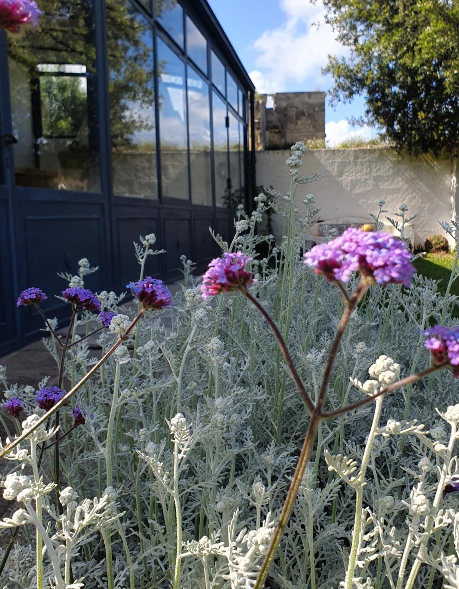 קונקה ספקיולה Masseria Spartivento מראה חיצוני תמונה